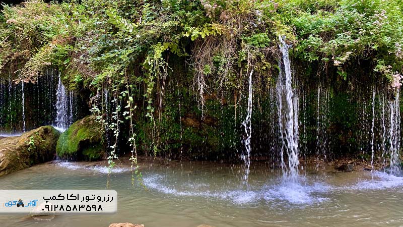 تور طبیعتگردی جنگل ابر