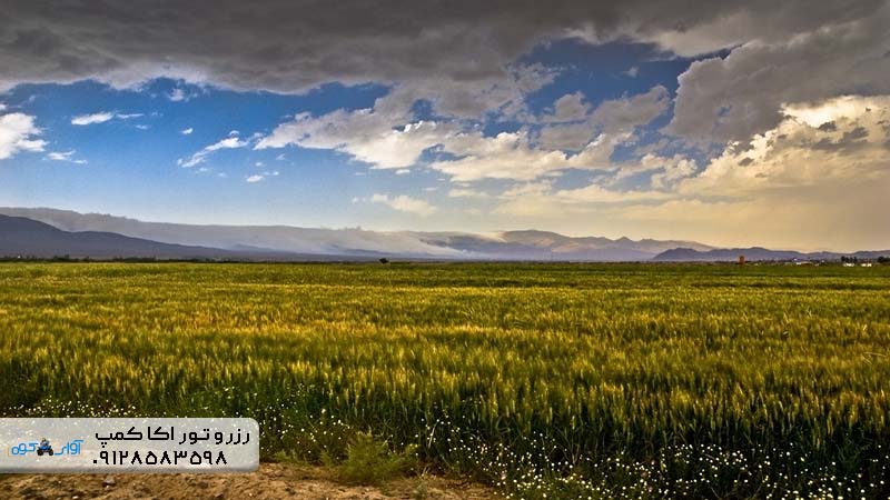 تور طبیعتگردی جنگل ابر