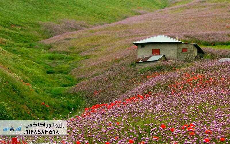 سفرهای پیمایشی و کمپینگ