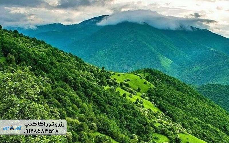 جنگل الیمستان کجاست؟