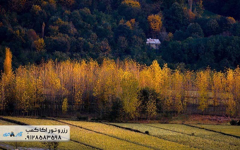 طبیعت زیبای مازندران در پاییز