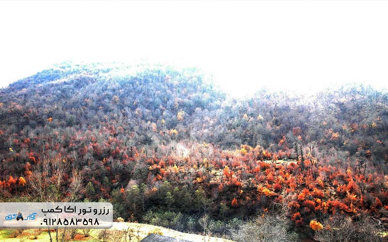 طبیعت زیبای مازندران در پاییز