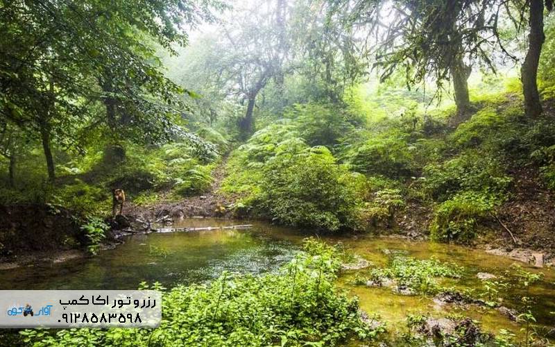 بهترین مکان های کمپینگ در مازندران