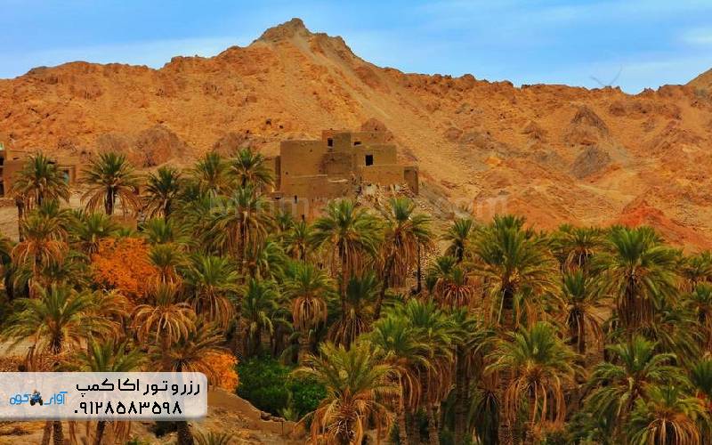 کویر زردگاه