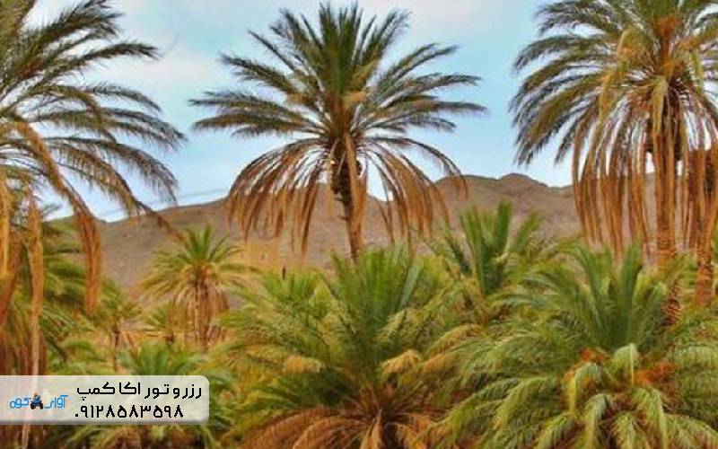 کویر زردگاه